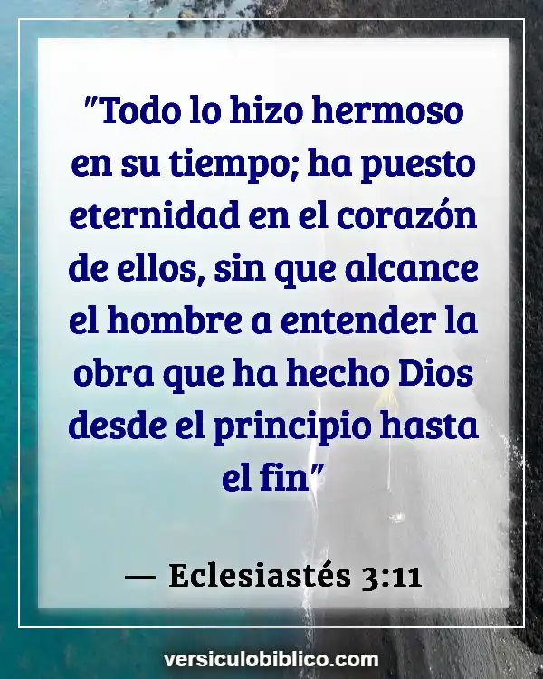 Versículos De La Biblia sobre Intuición (Eclesiastés 3:11)