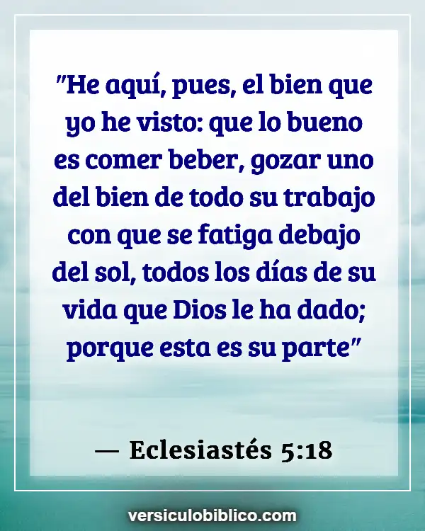 Versículos De La Biblia sobre No funciona (Eclesiastés 5:18)