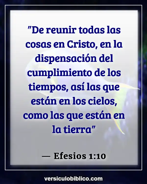 Versículos De La Biblia sobre Unidad de la Iglesia (Efesios 1:10)