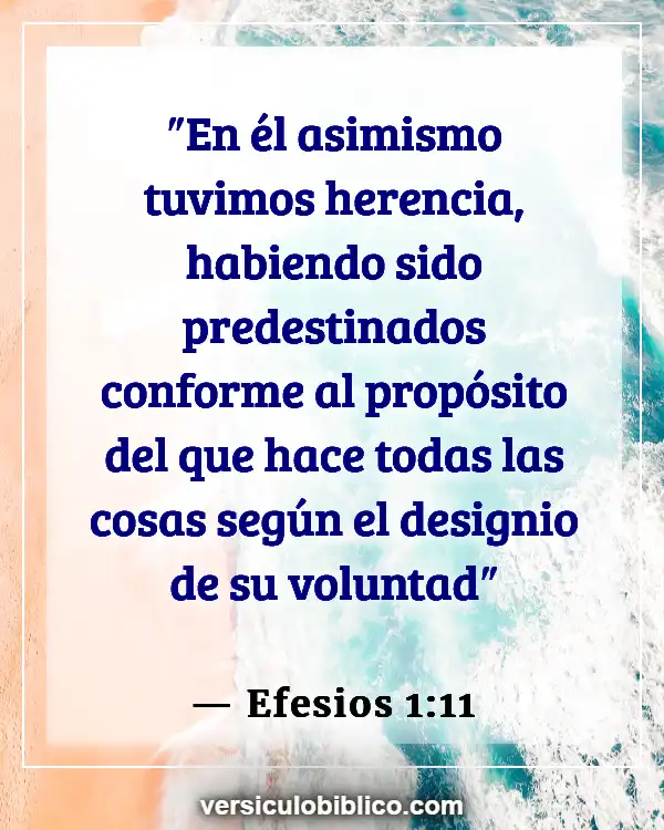 Versículos De La Biblia sobre Unión con cristo (Efesios 1:11)