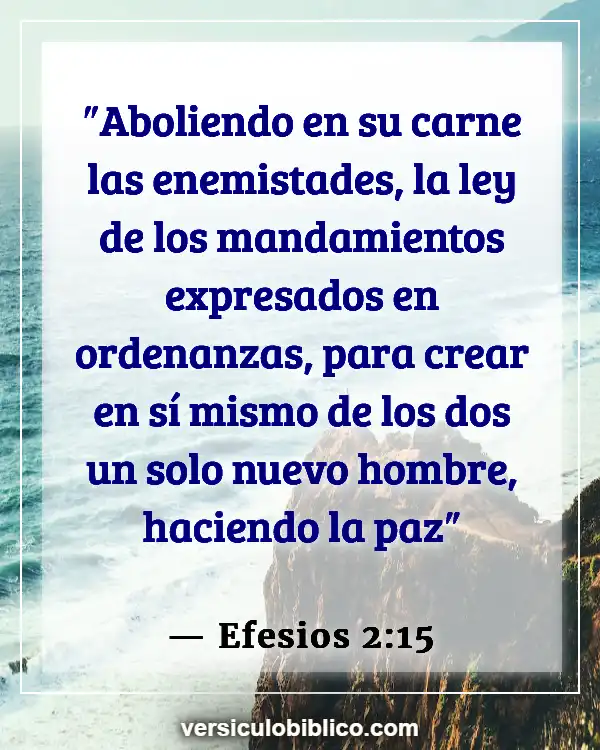 Versículos De La Biblia sobre Nuestros cuerpos (Efesios 2:15)