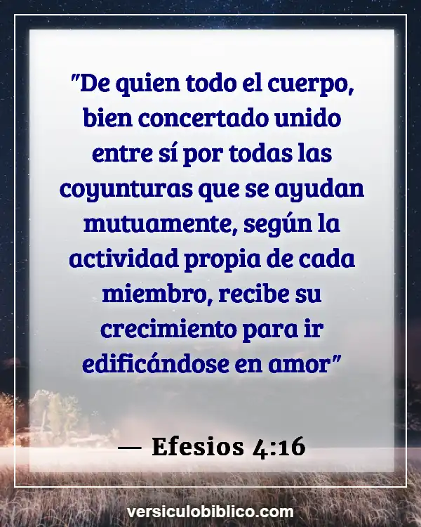 Versículos De La Biblia sobre Usando tus talentos (Efesios 4:16)