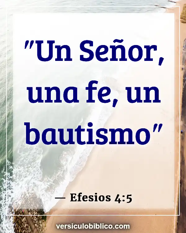 Versículos De La Biblia sobre Falso testigo (Efesios 4:5)