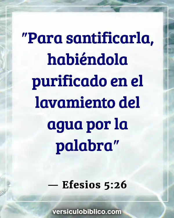 Versículos De La Biblia sobre Ujieres de la Iglesia (Efesios 5:26)