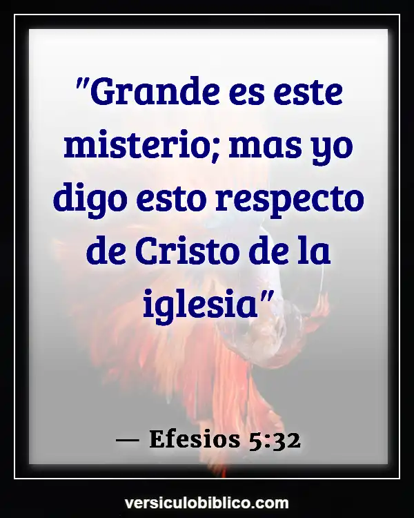 Versículos De La Biblia sobre Deberes del marido (Efesios 5:32)