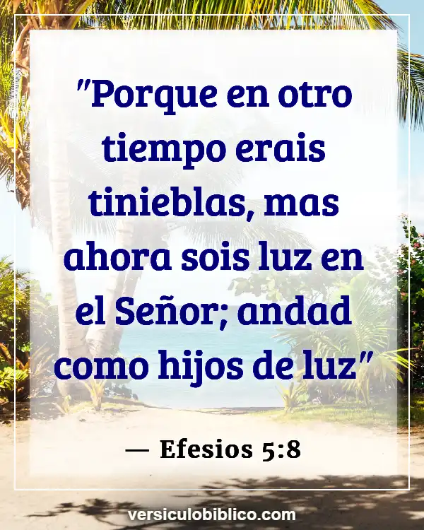 Versículos De La Biblia sobre Conócete a ti mismo (Efesios 5:8)