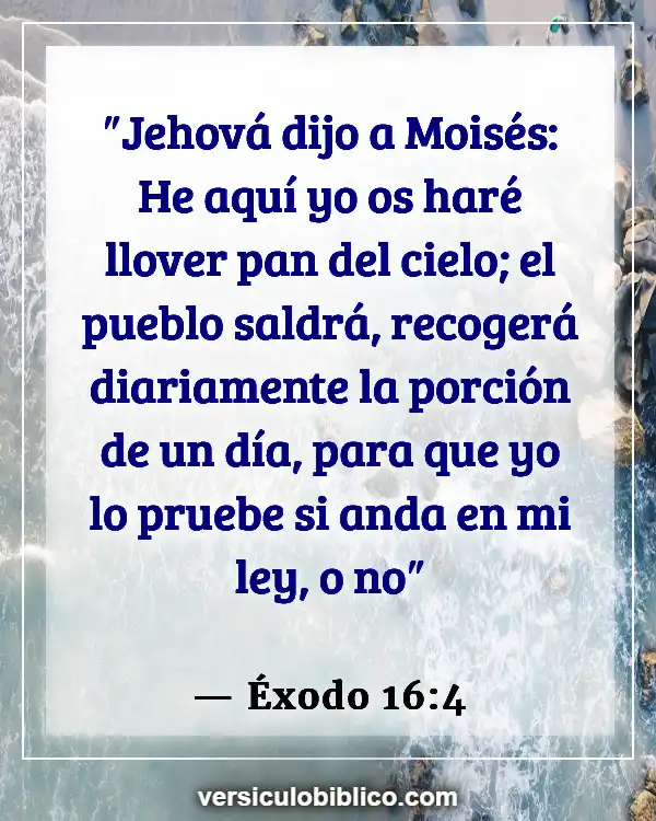 Versículos De La Biblia sobre Un día a la vez (Éxodo 16:4)