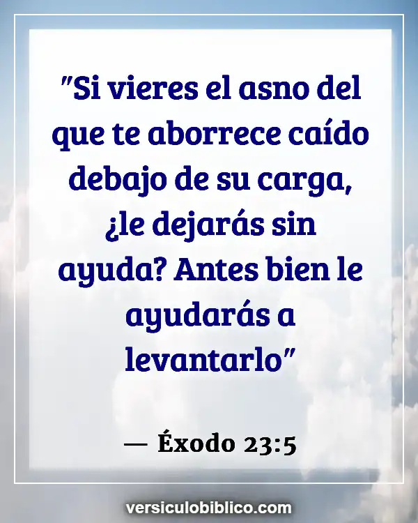 Versículos De La Biblia sobre Tus enemigos (Éxodo 23:5)