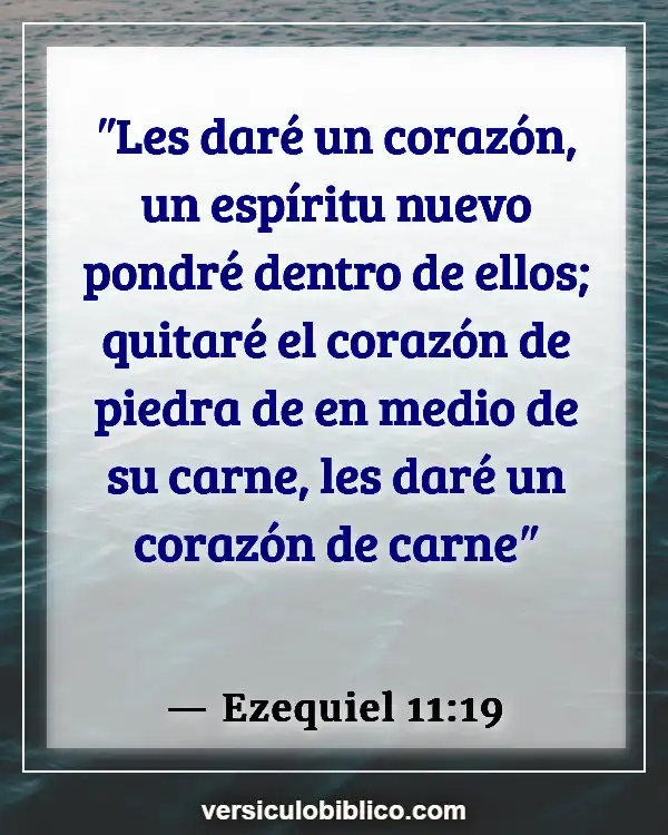 Versículos De La Biblia sobre Nueva vida (Ezequiel 11:19)