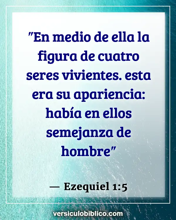 Versículos De La Biblia sobre Aspecto externo (Ezequiel 1:5)