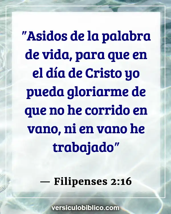 Versículos De La Biblia sobre Casarse con primos (Filipenses 2:16)