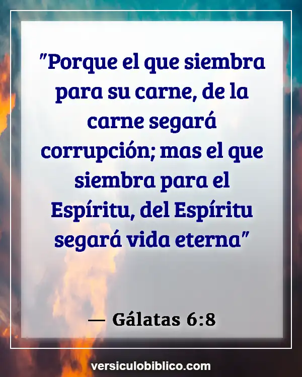 Versículos De La Biblia sobre Responsabilidad personal (Gálatas 6:8)