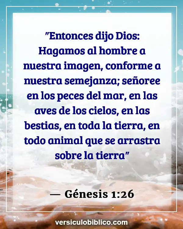 Versículos De La Biblia sobre Inventos (Génesis 1:26)