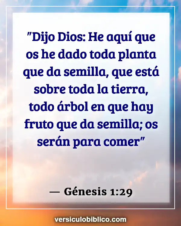 Versículos De La Biblia sobre Comer en exceso (Génesis 1:29)