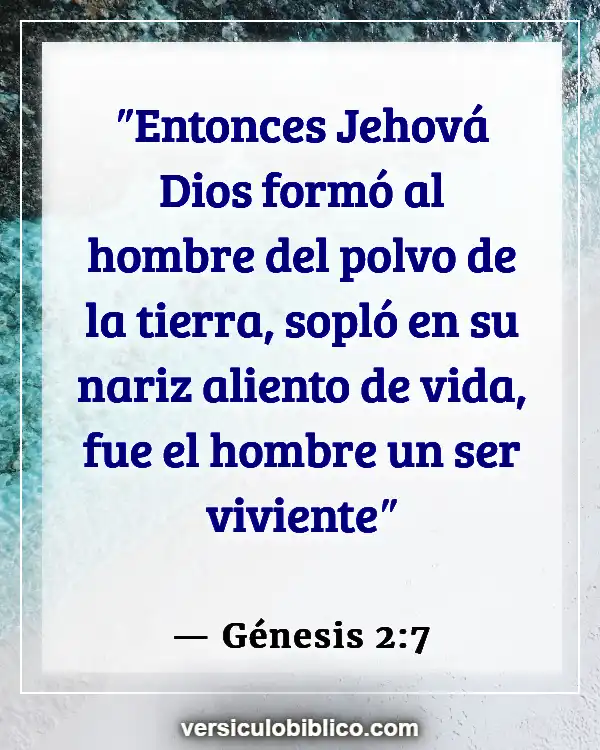 Versículos De La Biblia sobre Pulmones (Génesis 2:7)