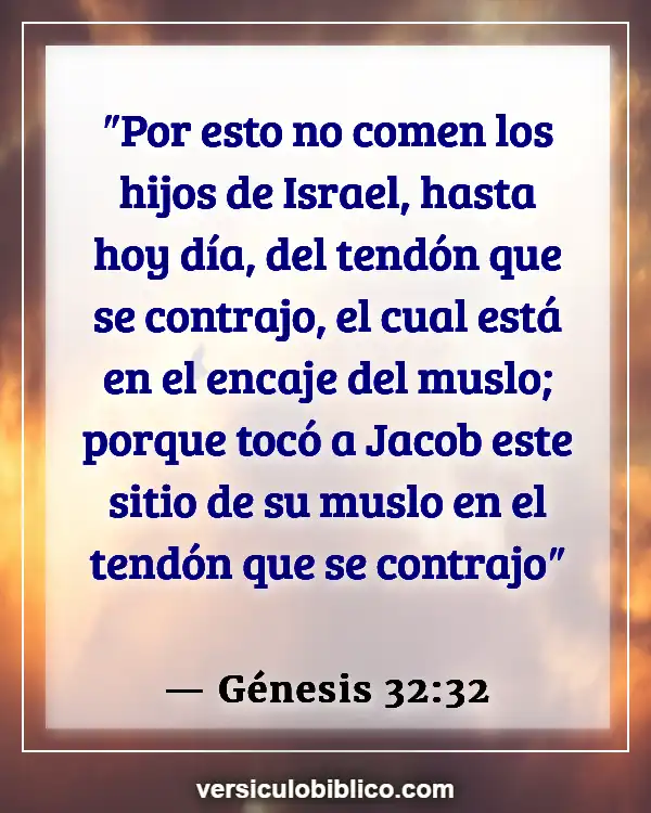 Versículos De La Biblia sobre Tocar (Génesis 32:32)