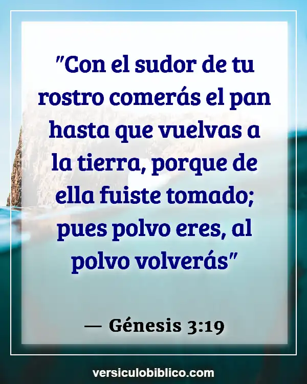 Versículos De La Biblia sobre Nuestros cuerpos (Génesis 3:19)