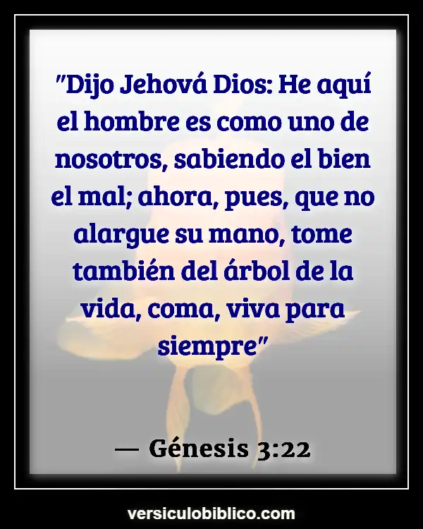 Versículos De La Biblia sobre El pecado original (Génesis 3:22)