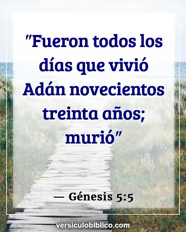 Versículos De La Biblia sobre Longevidad (Génesis 5:5)