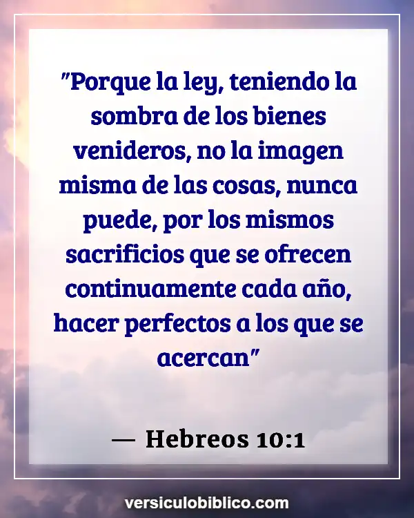 Versículos De La Biblia sobre Servicio comunitario (Hebreos 10:1)