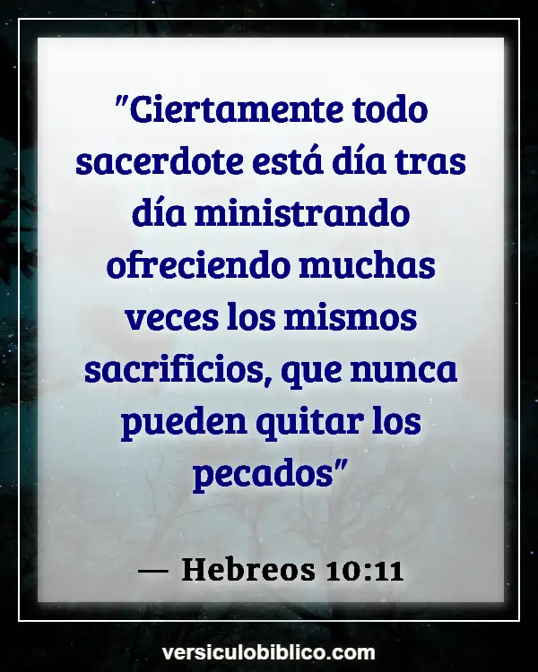 Versículos De La Biblia sobre Sacerdotes (Hebreos 10:11)