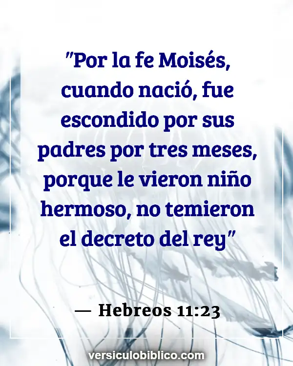 Versículos De La Biblia sobre Belleza interior (Hebreos 11:23)