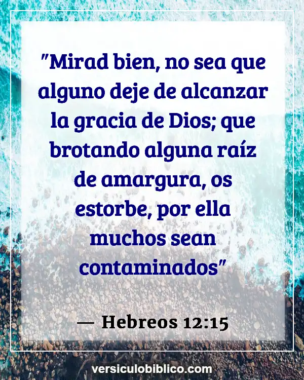 Versículos De La Biblia sobre Sentimientos heridos (Hebreos 12:15)