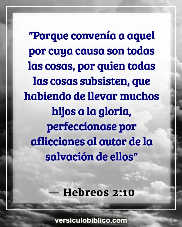 Versículos De La Biblia sobre Dolor y sufrimiento (Hebreos 2:10)