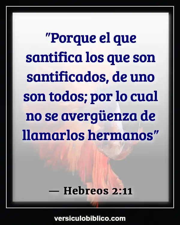 Versículos De La Biblia sobre Establecimiento de la paz (Hebreos 2:11)