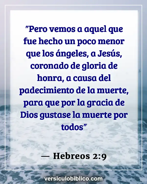 Versículos De La Biblia sobre Experiencias cercanas a la muerte (Hebreos 2:9)