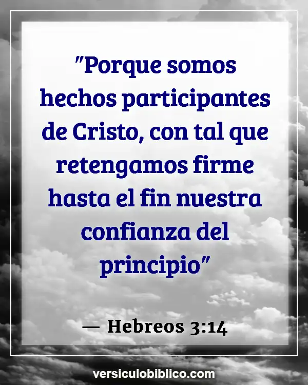 Versículos De La Biblia sobre Perserverancia (Hebreos 3:14)