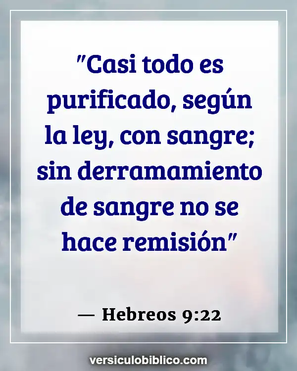 Versículos De La Biblia sobre Casarse con primos (Hebreos 9:22)