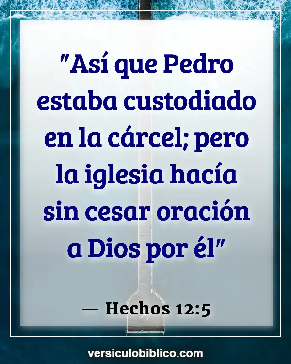 Versículos De La Biblia sobre Pedro (Hechos 12:5)