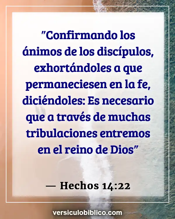 Versículos De La Biblia sobre Perserverancia (Hechos 14:22)