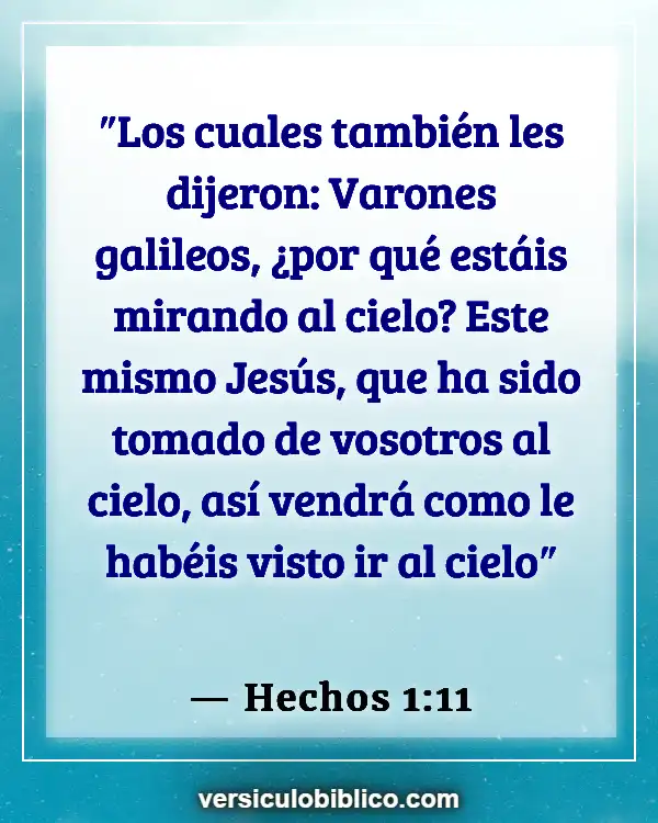 Versículos De La Biblia sobre Corderos (Hechos 1:11)