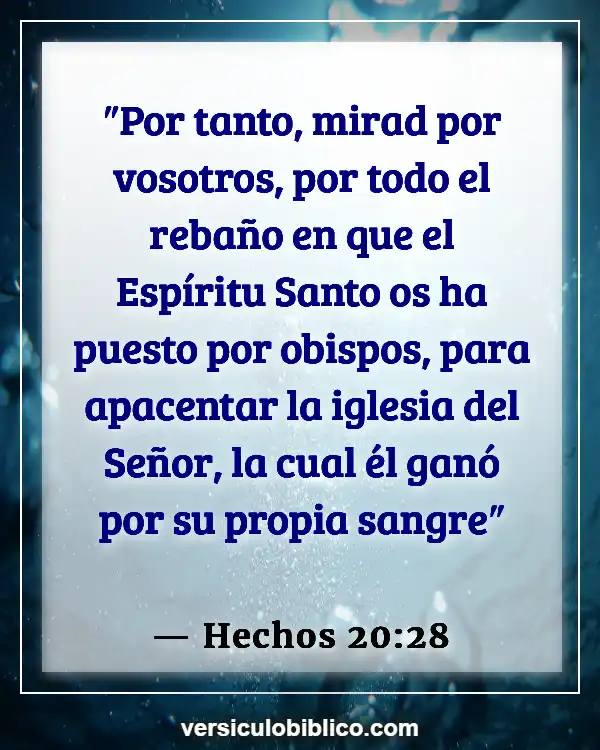 Versículos De La Biblia sobre Pedro (Hechos 20:28)