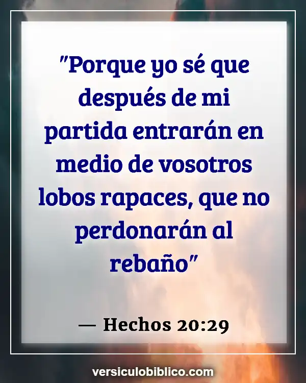 Versículos De La Biblia sobre Sueños malos (Hechos 20:29)