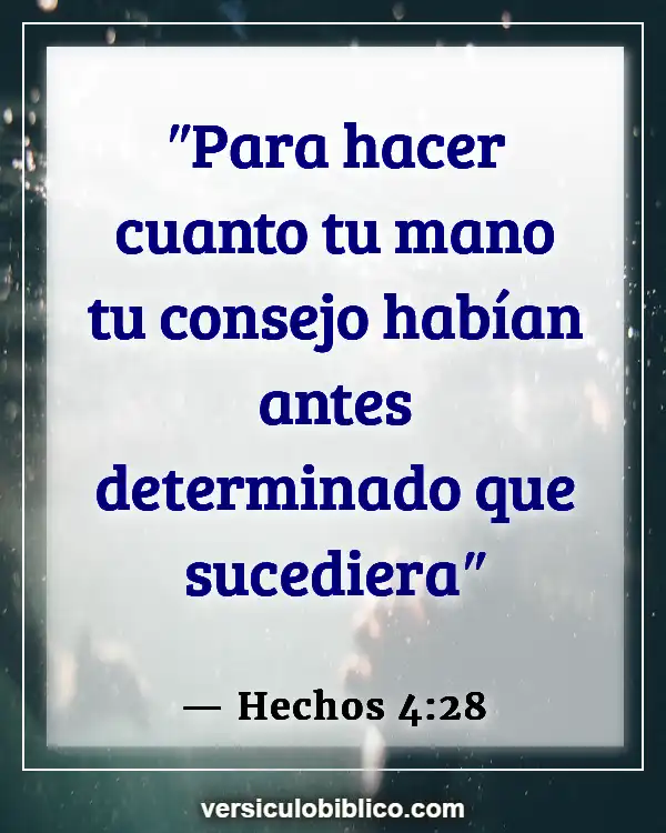 Versículos De La Biblia sobre Superstición (Hechos 4:28)