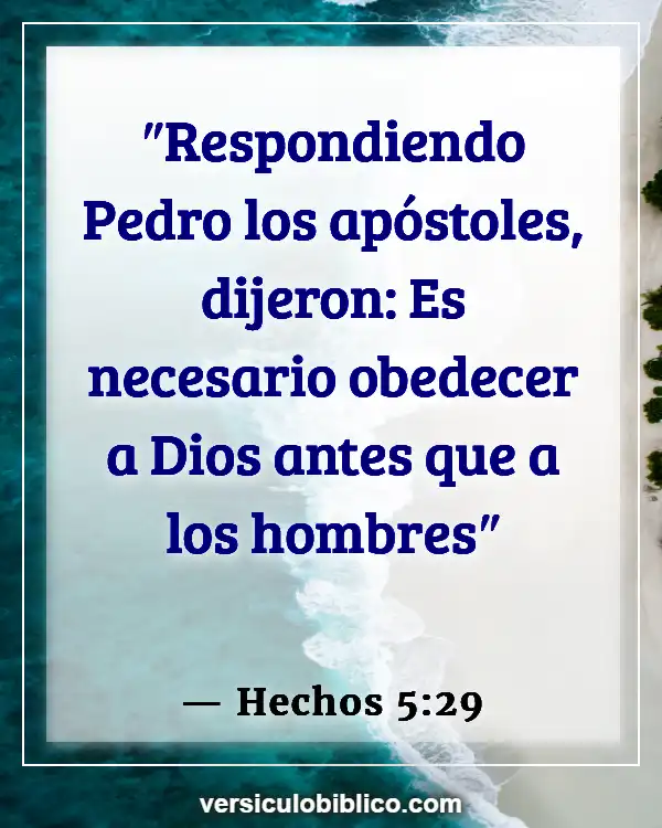 Versículos De La Biblia sobre Pedro (Hechos 5:29)