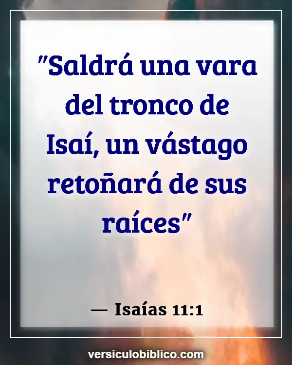 Versículos De La Biblia sobre Granos de arena (Isaías 11:1)