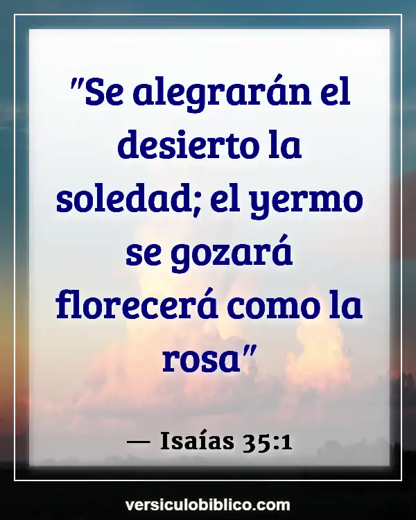 Versículos De La Biblia sobre Flores silvestres (Isaías 35:1)