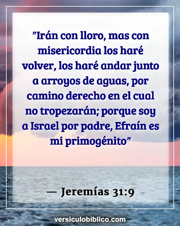 Versículos De La Biblia sobre Inventado excusas (Jeremías 31:9)