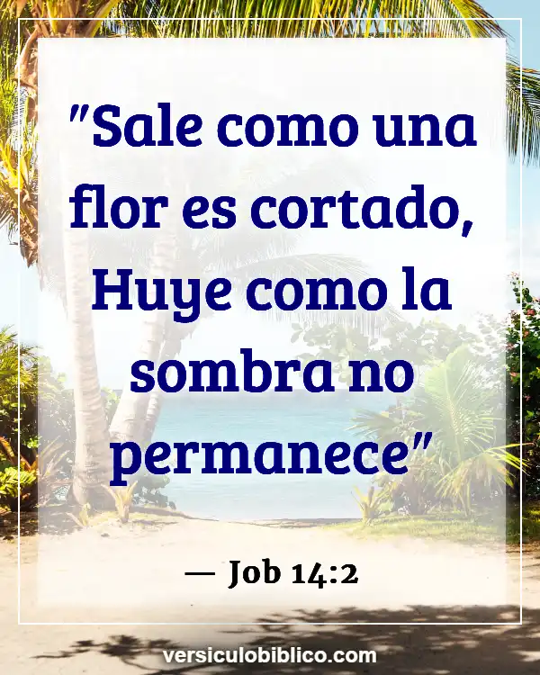 Versículos De La Biblia sobre Flores silvestres (Job 14:2)