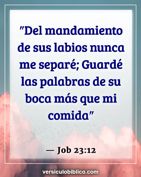 Versículos De La Biblia sobre Hambre de Dios (Job 23:12)