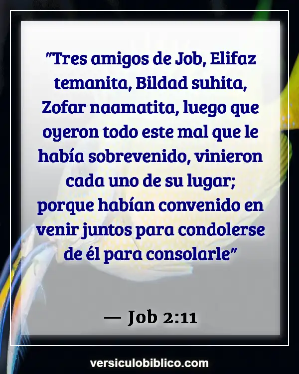 Versículos De La Biblia sobre Haciendo amigos (Job 2:11)