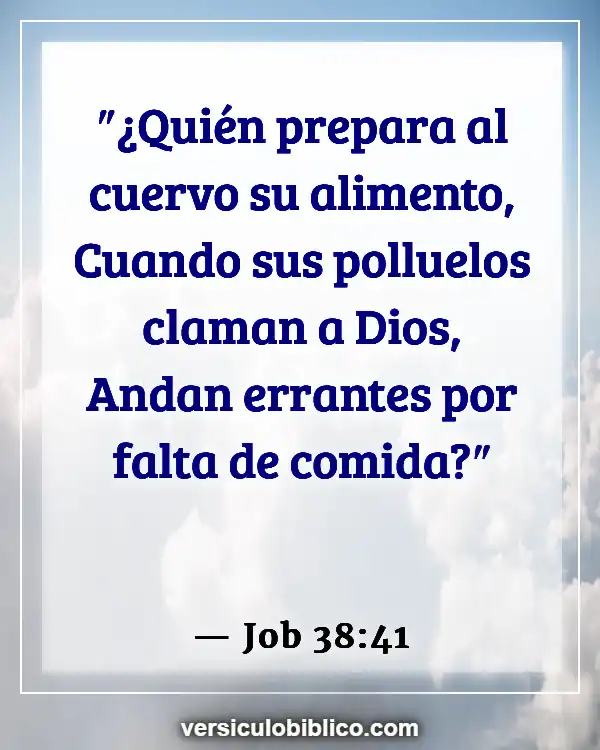 Versículos De La Biblia sobre Crueldad animal (Job 38:41)