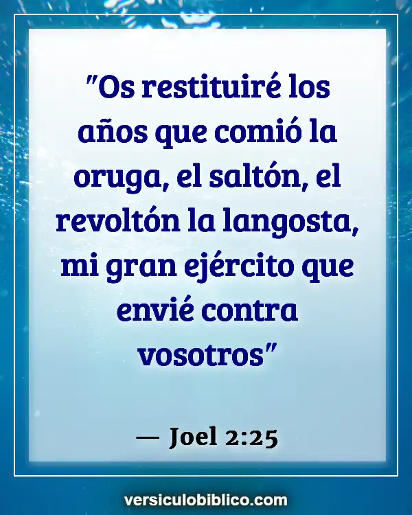 Versículos De La Biblia sobre Viviendo en el pasado (Joel 2:25)