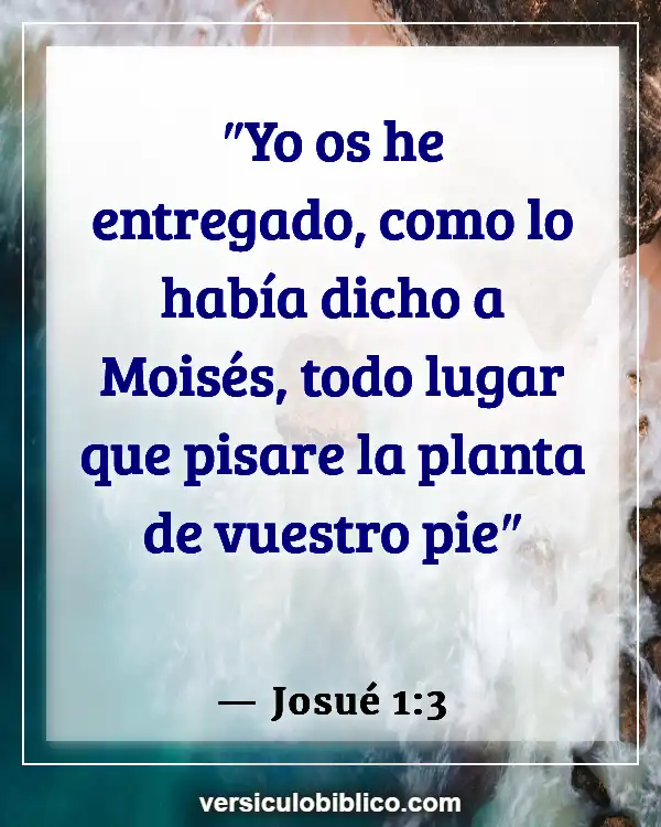 Versículos De La Biblia sobre Instrucción (Josué 1:3)