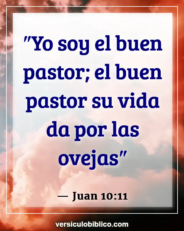 Versículos De La Biblia sobre Buen Pastor (Juan 10:11)