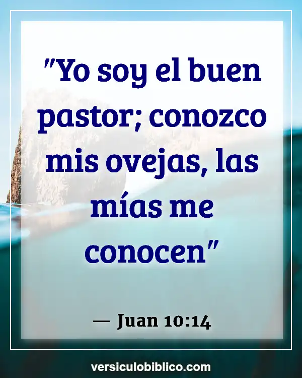 Versículos De La Biblia sobre Buen Pastor (Juan 10:14)